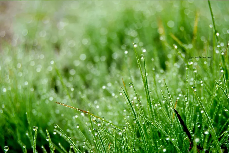 Landscape Photography