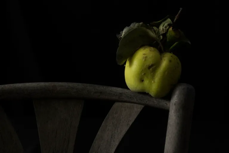 Still-Life Photography
